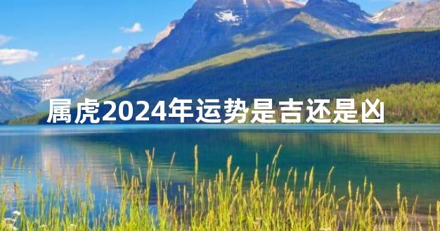 属虎2024年运势是吉还是凶 